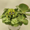 Custom 3D Printed Spider Kids Toy