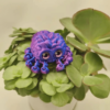 Adorable Custom 3D Printed Spider Kids Toy