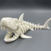 3D Printed Shark Skeleton