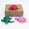 Articulated Turtle