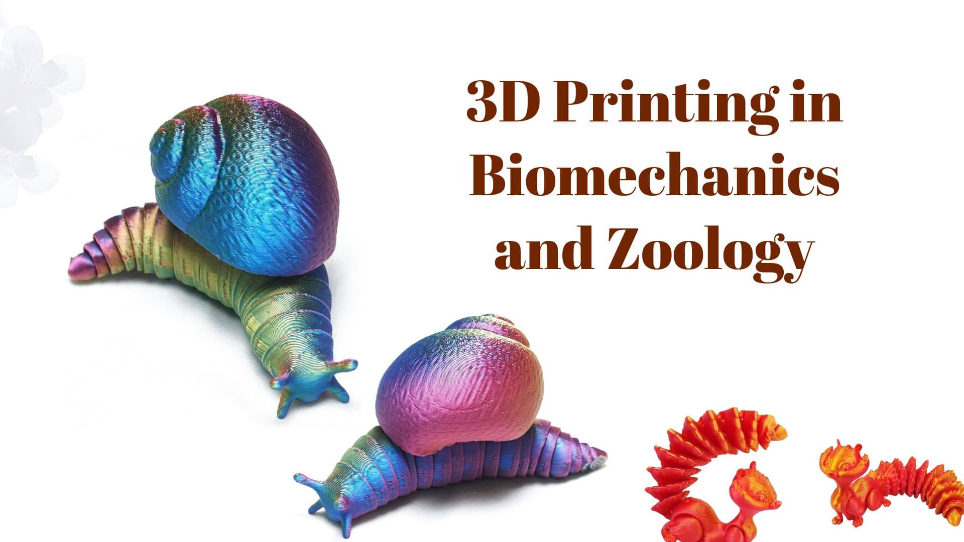 Innovative Uses of 3D Printing in Biomechanics and Zoology: Snails, Squirrels, and Creative Gifts