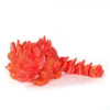 Chinese Lion Dance