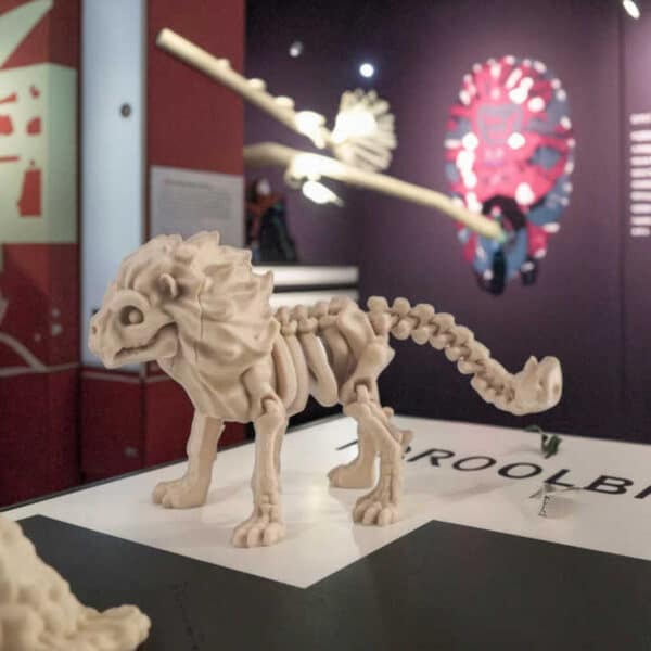 Customizable Creative 3D Articulated Dinosaur Toy for Kids - Image 5