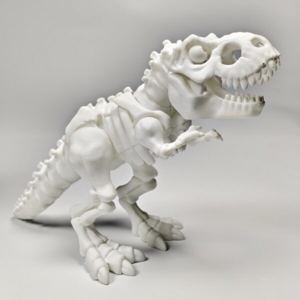 3D Printed Dinosaur Skeleton Articulated