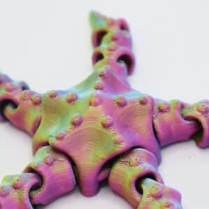 Customized Articulated Starfish
