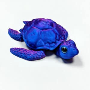 Marine Turtle Gift