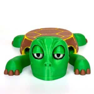 Funny Turtle