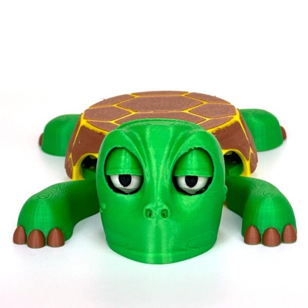 Funny Turtle