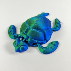 Articulated Big Eye Turtle