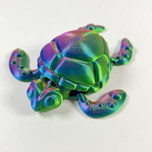 Turtle Kids Toy