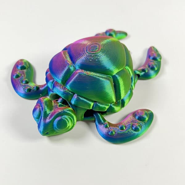 Turtle Kids Toy