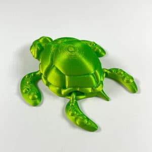 Movable Joint Big Eye Turtle