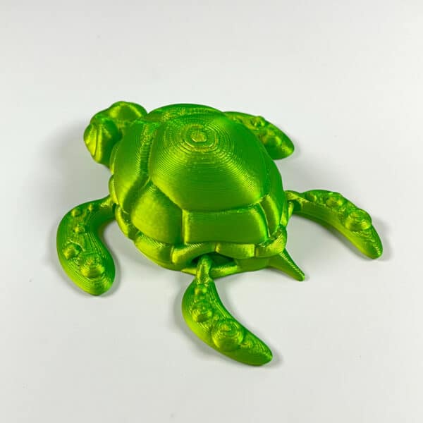 Movable Joint Big Eye Turtle