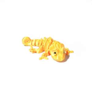 Chameleon Fun