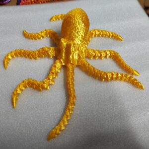 3D Octopus