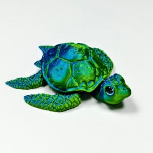 Turtle with Movable Joint