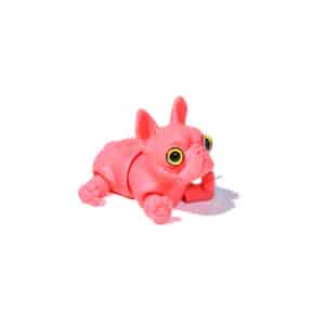 Creative 3D Printed dog Toy