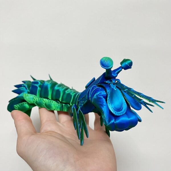 Mantis Shrimp Toy 3D Printed