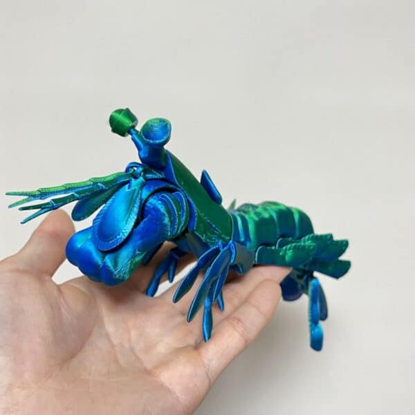 Mantis Shrimp Toy 3D Printed With Articulated Hands for Kids - Image 3