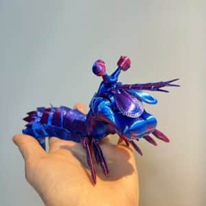 3D Printed Mantis Shrimp