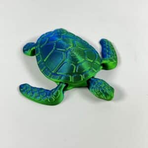 Personalized 3D Printed Turtle