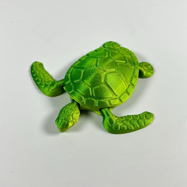 Multi Joint Turtle