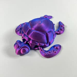 3D Printed Big Eye Turtle