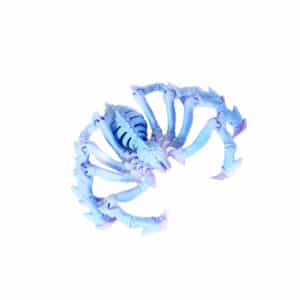 Creative 3D Printed Spider