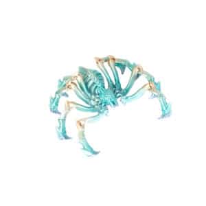 3D Printed Spider Moveable