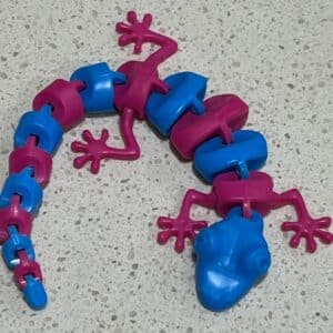 Personalized Gecko