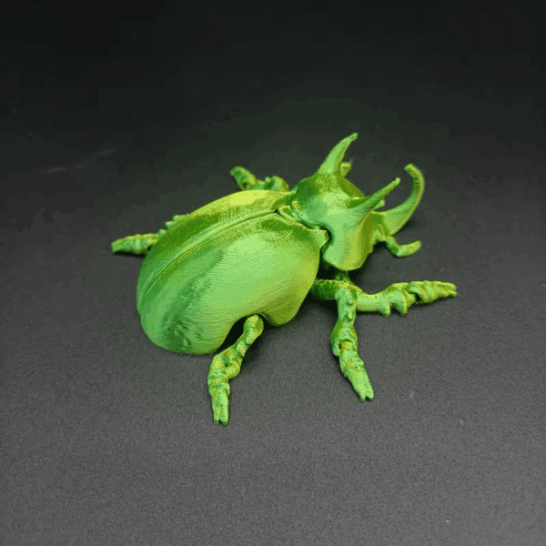 3D Printed Realistic Rhinoceros Beetle Articulated Toy - Image 2