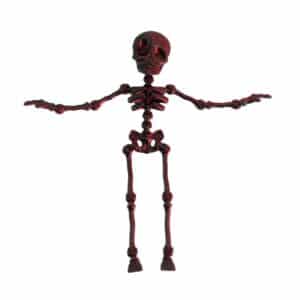 Movable Joints Skeleton