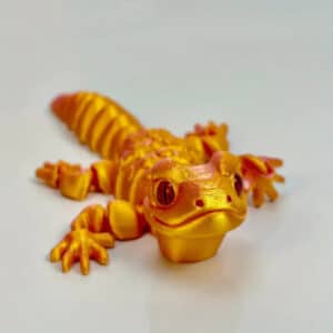 Personalized Gecko Model
