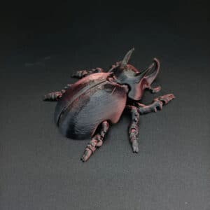 Flexible Rhinoceros Beetle