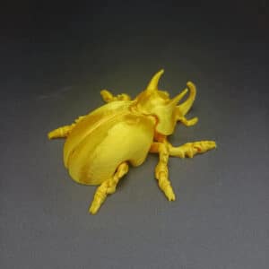 Articulated Rhinoceros Beetle