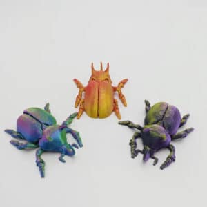 Creative Rhinoceros Beetle
