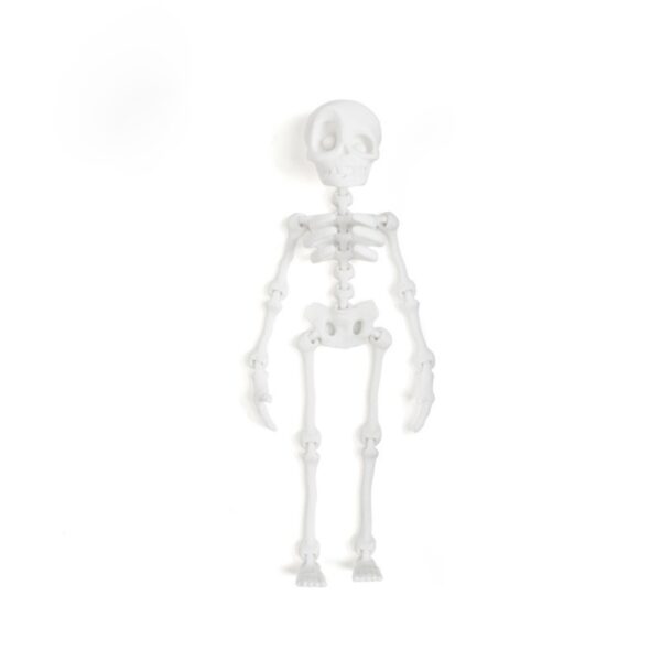 3D Printed Skeleton Toy with Movable Joints for Kids - Image 14