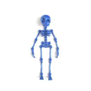 Printed Skeleton Toy