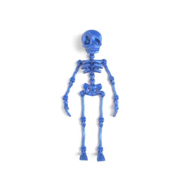 Printed Skeleton Toy