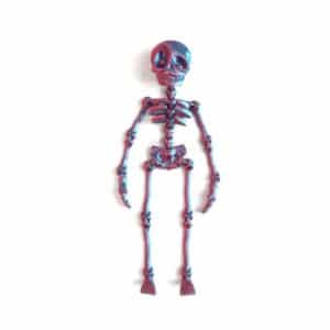Flexible Skeleton