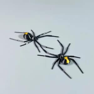 Customizable Spider Toy