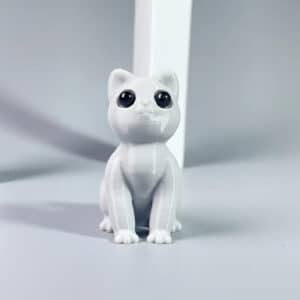 Customized Cat Toy