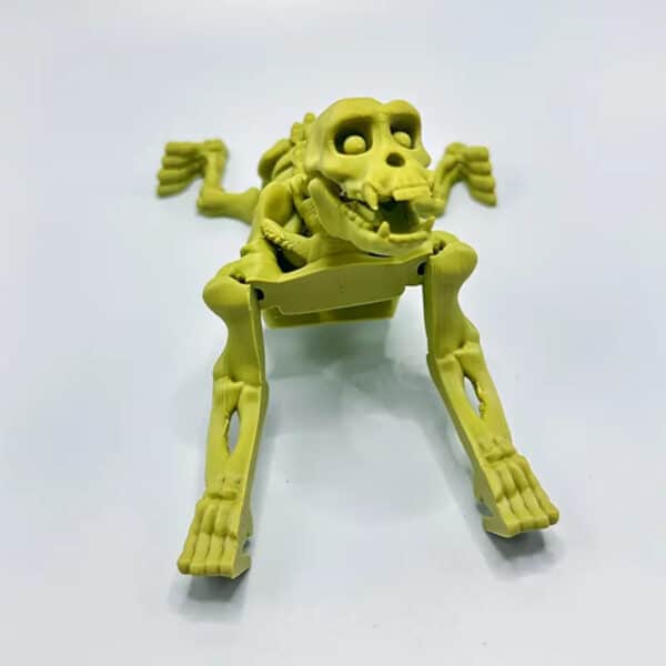 Primate Animal Skeleton