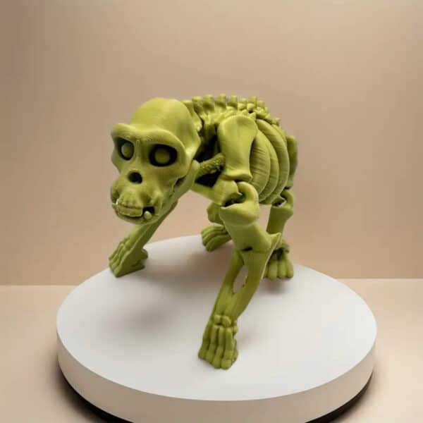 Articulated 3D Printed Primate Animal Skeleton Model Toy - Image 3