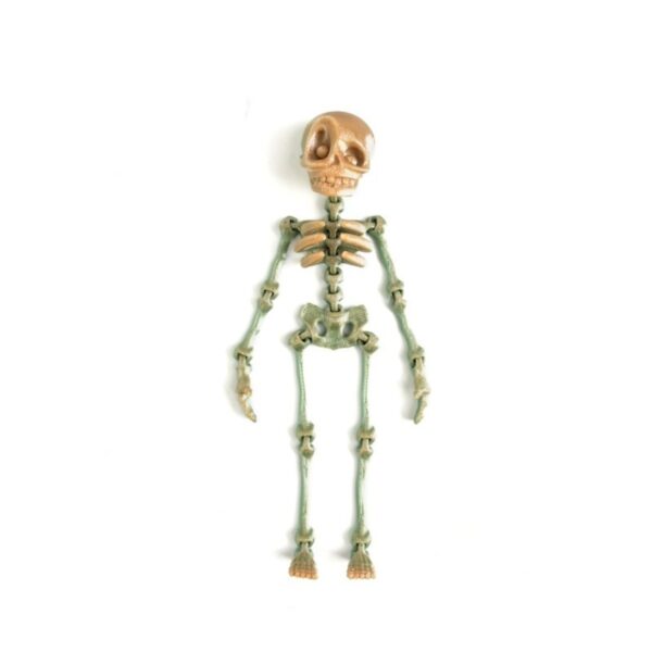 Personalized Skeleton Toy with Movable Joints for Kids - Image 3