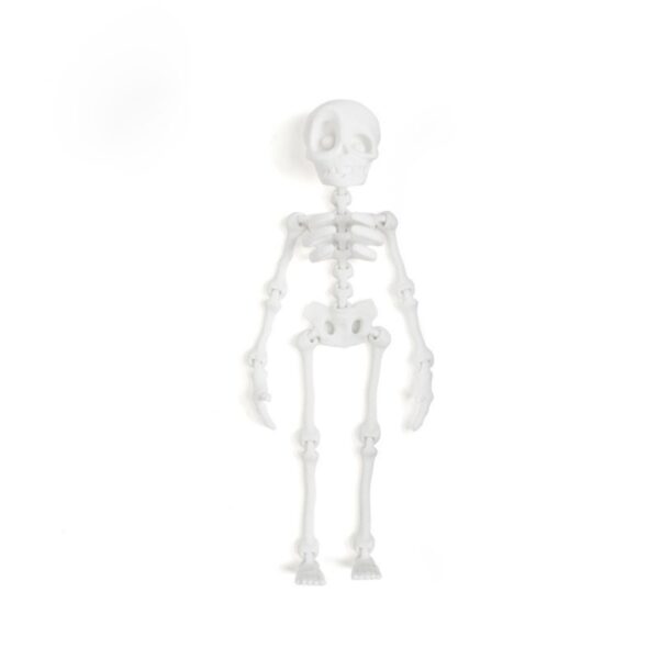 Personalized Skeleton Toy with Movable Joints for Kids - Image 5