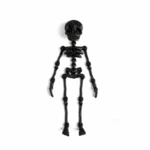 Articulated Skeleton