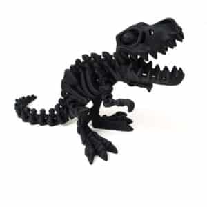 Educational T Rex