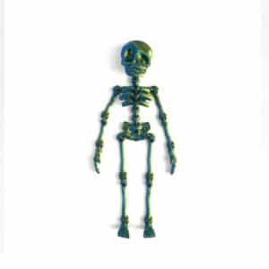 Educational Skeleton Toy