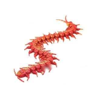 Centipede Toy